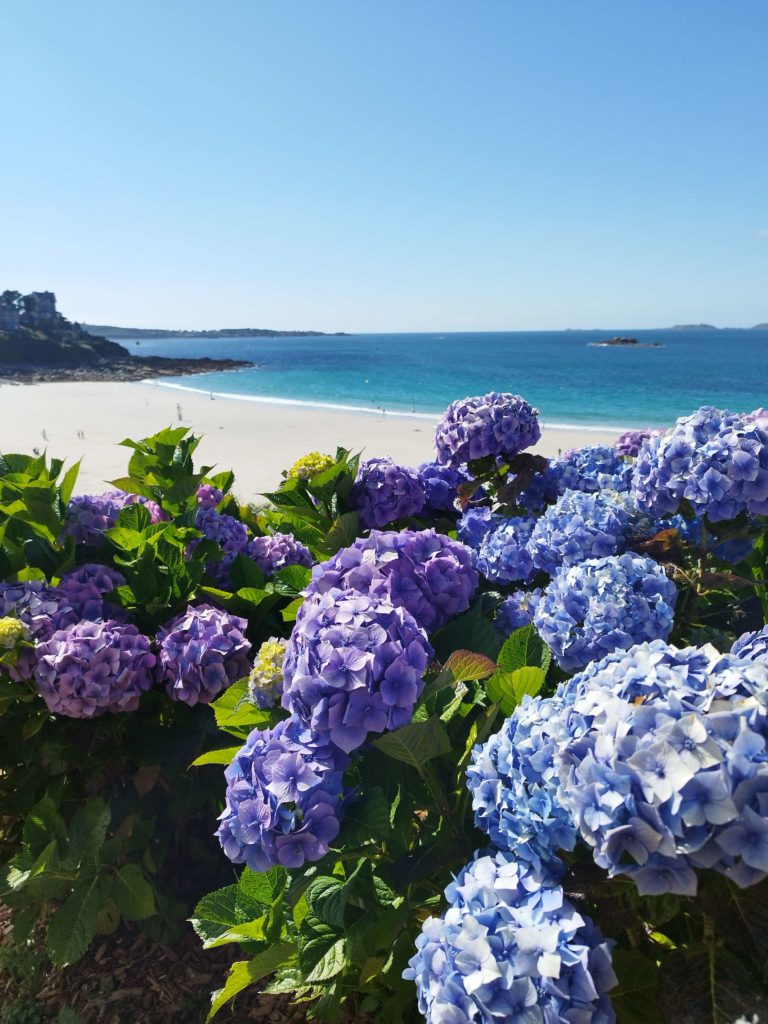 plage trestrignel perros guirec